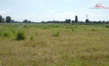 Agrícola en Venta en León Bustos 12, Linares