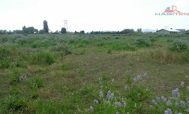 Agrícola en Venta en León Bustos 12, Linares
