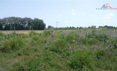 Agrícola en Venta en León Bustos 12, Linares