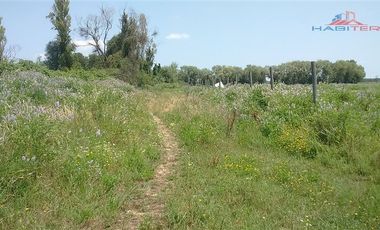Agrícola en Venta en León Bustos 12, Linares