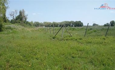 Agrícola en Venta en León Bustos 12, Linares