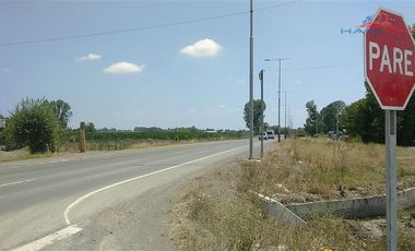 Agrícola en Venta en León Bustos 12, Linares