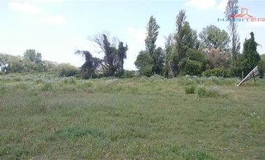 Agrícola en Venta en León Bustos 12, Linares