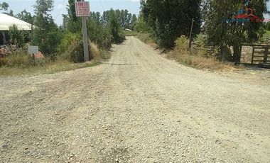 Agrícola en Venta en León Bustos 12, Linares