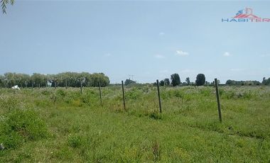 Agrícola en Venta en León Bustos 12, Linares