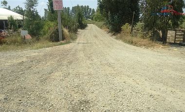 Agrícola en Venta en León Bustos 12, Linares
