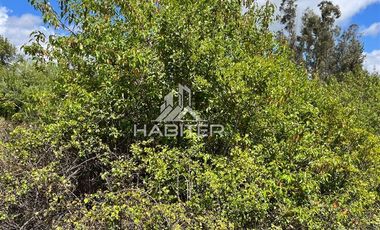 Parcela en Venta en vilches, san clemente
