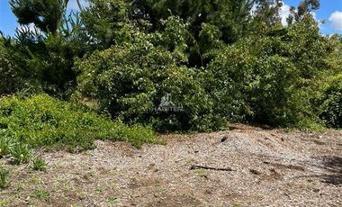 Parcela en Venta en vilches, san clemente