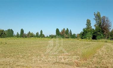 Parcela en Venta en Orilla de Maule, k 10 san javier