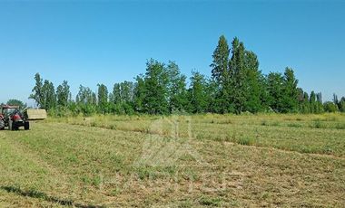 Parcela en Venta en Orilla de Maule, k 10 san javier