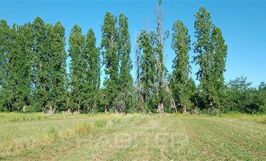 Parcela en Venta en Orilla de Maule, k 10 san javier
