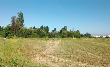 Parcela en Venta en Orilla de Maule, k 10 san javier