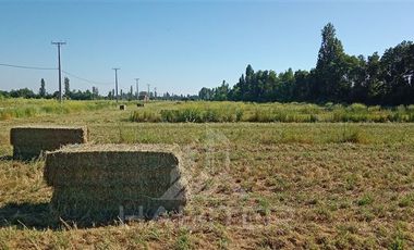Parcela en Venta en Orilla de Maule, k 10 san javier