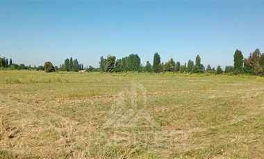 Parcela en Venta en Orilla de Maule, k 10 san javier