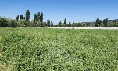 Parcela en Venta en Malaquias Concha