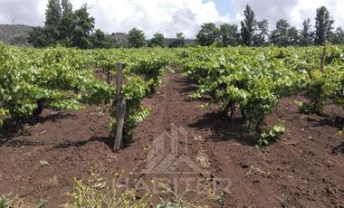 Parcela en Venta en Malaquias Concha