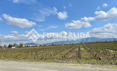 Agrícola en Venta en KURT MOLLER