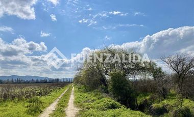 Agrícola en Venta en KURT MOLLER