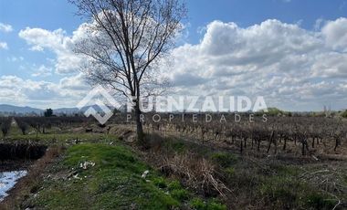 Agrícola en Venta en KURT MOLLER