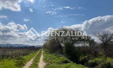 Agrícola en Venta en KURT MOLLER