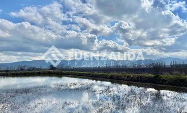 Agrícola en Venta en KURT MOLLER