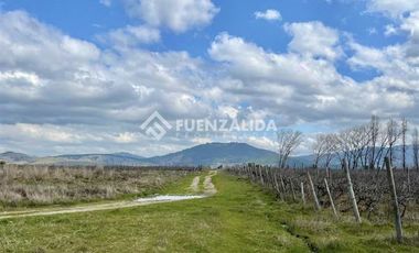Agrícola en Venta en KURT MOLLER