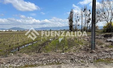 Sitio en Venta en Kurt Moller