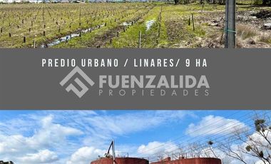 Sitio en Venta en Kurt Moller