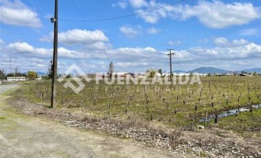 Sitio en Venta en Kurt Moller