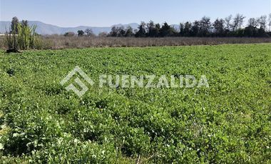 Sitio en Venta en Santa Adela Camino Buin Maipo