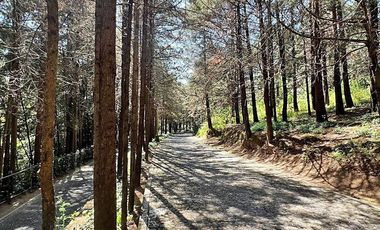 CASA EN HACIENDA SAN MARTÍN