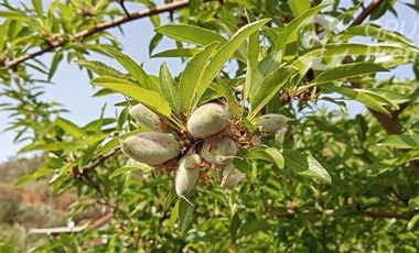 Parcela en Venta en ruta 60