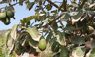 Parcela en Venta en ruta 60