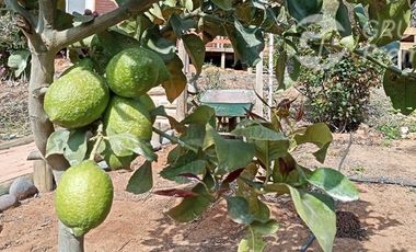 Parcela en Venta en ruta 60