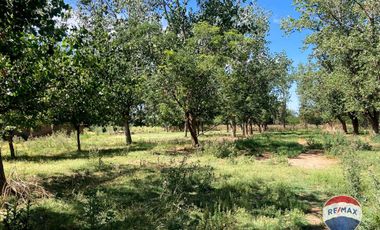 LOTE EN VENTA CON CASA A REFACCIONAR EN MARCOS PAZ