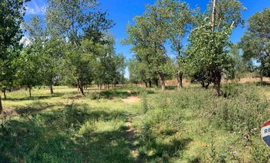 LOTE EN VENTA CON CASA A REFACCIONAR EN MARCOS PAZ