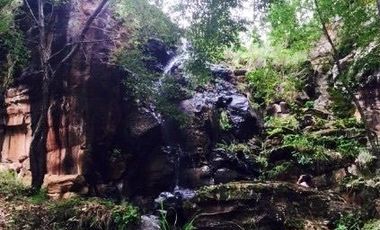 Terreno en Venta en Tapalpa 
