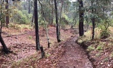 Terreno en Venta en Tapalpa 