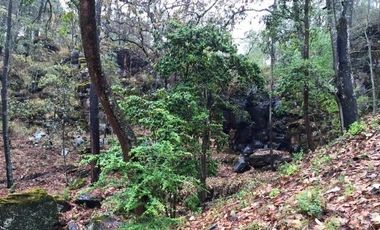 Terreno en Venta en Tapalpa 