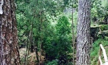 Terreno en Venta en Tapalpa 