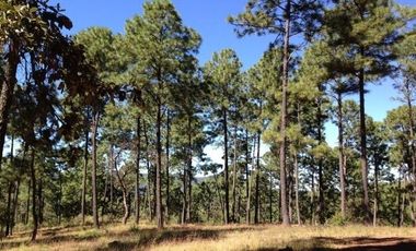Terreno en Venta en Tapalpa 