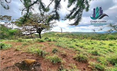 VENDO LOTE DE 1473MTS VIA.LUCERO