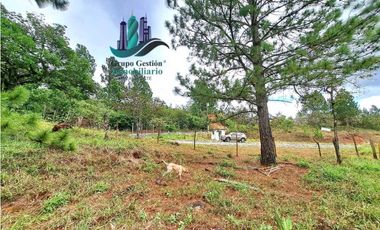 VENDO LOTE DE 1473MTS VIA.LUCERO