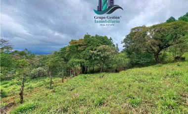 VENDO LOTE DE 1473MTS VIA.LUCERO
