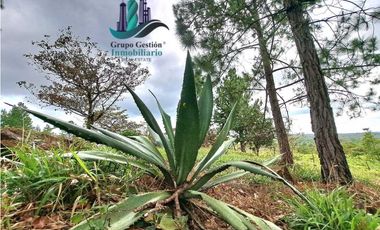 VENDO LOTE DE 1473MTS VIA.LUCERO