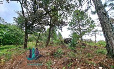 VENDO LOTE DE 1473MTS VIA.LUCERO