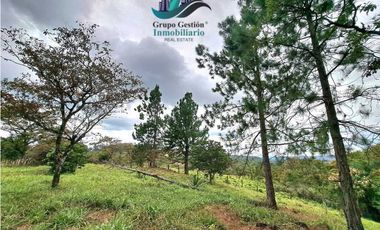 VENDO LOTE DE 1473MTS VIA.LUCERO