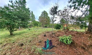 VENDO LOTE DE 1473MTS VIA.LUCERO