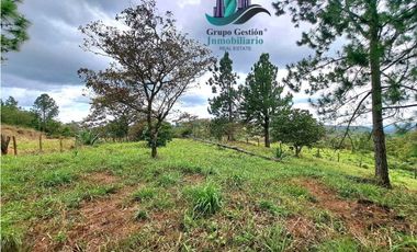 VENDO LOTE DE 1473MTS VIA.LUCERO