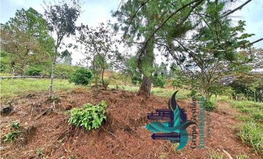 VENDO LOTE DE 1473MTS VIA.LUCERO